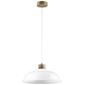 Подвесной светильник Spot Light Molde 9884074
